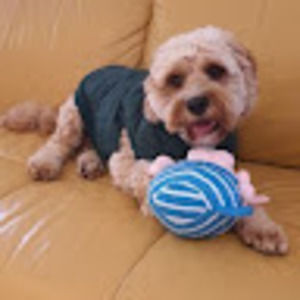 Meet your Posher, Eva